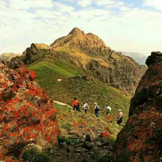 راه صعود به قله زیبای گل نرگس با مناظر زیبا در شمال ایران