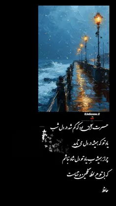 🌱🍒حسـرت آن بود ڪه گم شد در دل شب