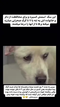 کراش زدم رو هاپووووو🐄