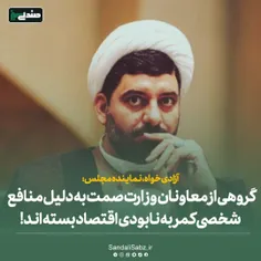 🟢آزادی‌خواه، نماینده مجلس:گروهی از معاونان وزارت صمت به د