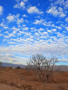 ببینید دیگه شما آدم با روان سالم پیدا نمیکنید، صرفا  آدمی