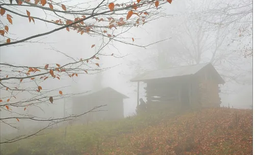 کلبه مه سکوت پاییز