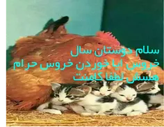 جدی نگیرید.لطیفه