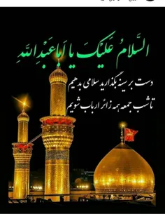 #السلام_علیک_یا_ابا_عبدالله_الحسین😭😭😭😭😭