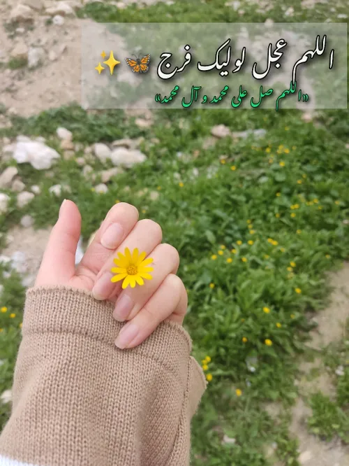 السلام علیک یا قائم آل محمد🤚🏻💚