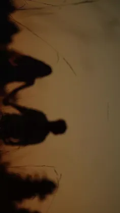 بوی جان می‌آید از تو 🩵 . !