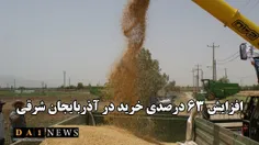 اکبر فتحی خبر داد: افزایش ۶۴ درصدی خرید گندم در آذربایجان