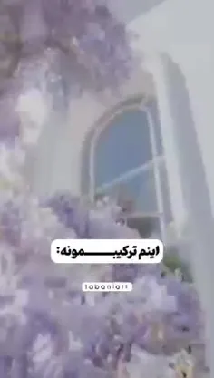 نیمه‌ی گمشده من