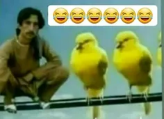 اگه فکر کنی فتوشاپه حسودی 🤣🤣🤣🤣🤣