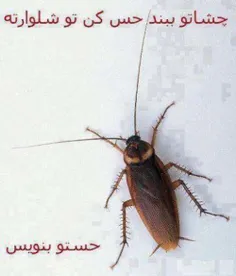 من مرگ :(