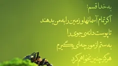 علی مع الحق و الحق مع علی