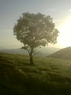 این عکسمو خیلی دوس دارم