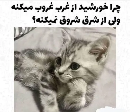 خداییش تاحالا بهش فکر کرده بودین؟!😎😂😳