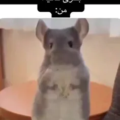 کیا اینجورین ؟😂