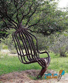 صندلی با فرم دهی به شاخه های درخت