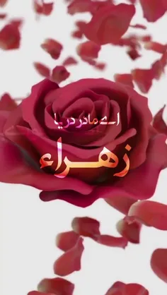 حضرت فاطمه(س) فرمود: