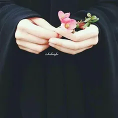 #چادرانه 🦋 