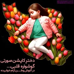 کربلایی امیرحسین سریشی 