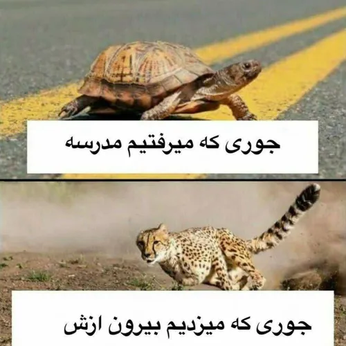 حق