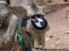 از دید لنگی‌ها الان این خره با آرم BMW یه خره با اصالته و