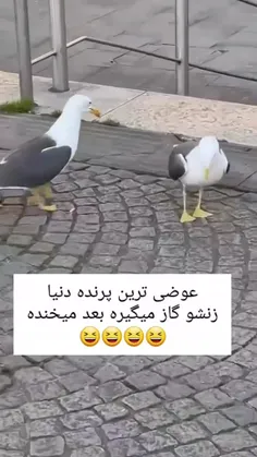 چه لاشیه😂😂😂