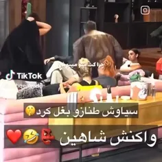 elzabet 75243203