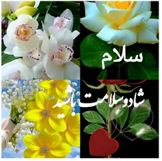 گوناگون davood.46 34145486