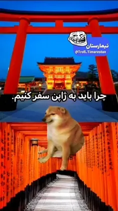 میم کیلویی❤️‍🩹🗿