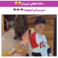 پیشی🐱😂