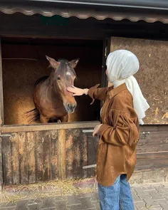 ثمین خانم عاشق اسب است