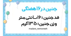 علم و دانش madare_nemoneeh 27991617