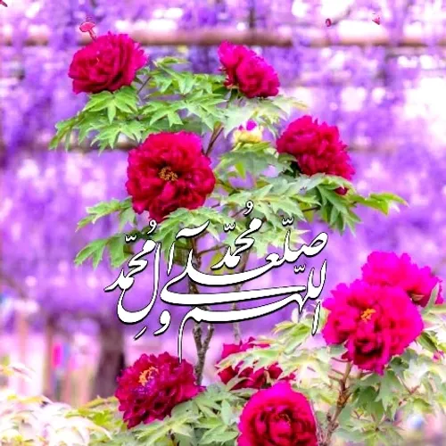 . ( اللهم صل علی محمد و آل محمد عجل فرجهم ) .