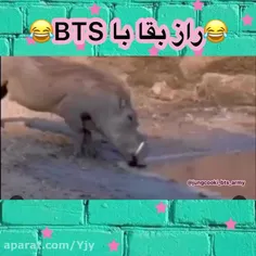 سم‌السامعین🍵🍺