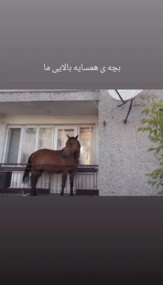 🙄خود لعنتیشه