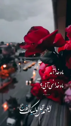 ماه خدا نمی آیی؟💚