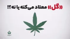 بالاخره «گل» معتاد می‌کنه یا نه؟!🚬