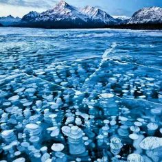 حباب های یخ زده دریاچه ی آبراهام در کانادا