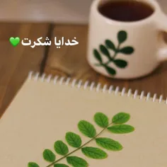 هر روز را با شکر گزاری شروع کنید وآخر شب نیز با شکر گزاری