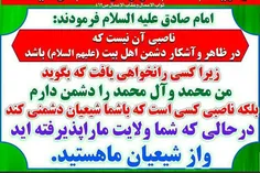 ناصبی ، کسی است که نسبت به امام علی (ع) یا یکی از اهل بیت