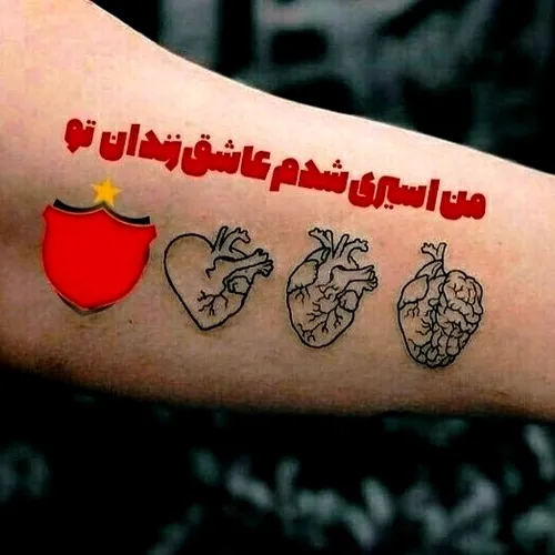 پرسپولیسم❤