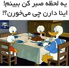 اینا دارن چی میخورن!