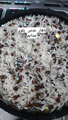 من عدس پلو رو با سالاد شیرزای میل میکنم چون خوشمزه تر میش