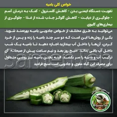 🔰خواص کلی #بامیه 