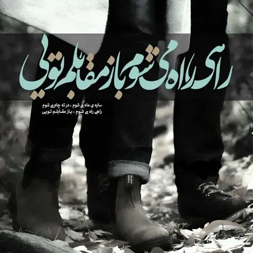 راهی راه ماه