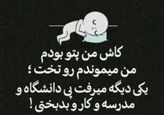 کاش کاش