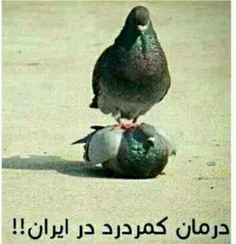 هرکی.کمرش درد میکنه بیاد.جلو