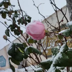 اولین و دومین برف جمهوری اسلامی ایران ❤️🇮🇷