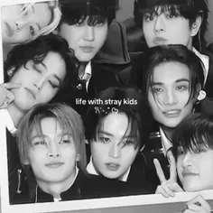 Life with stray kids:)))