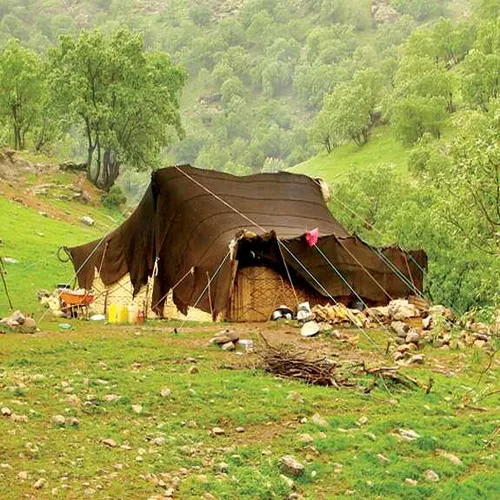 زیباوبی دغدعه امایکم سخته ولی بخاطردوری ازآلودگی وافسردگی