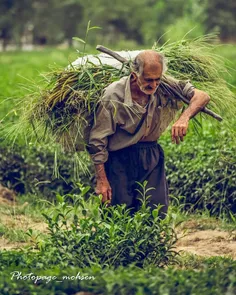 🍃 بیا زندگی کنیم